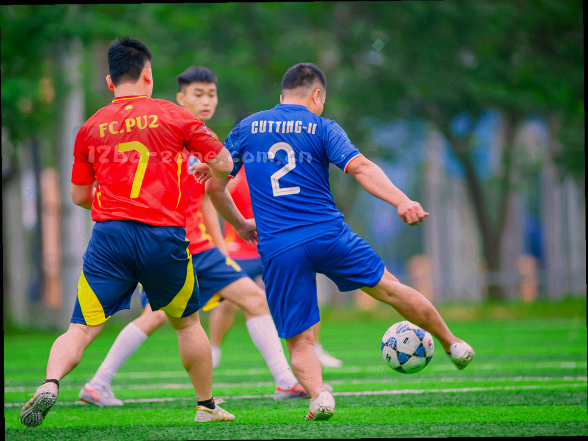 抽象化的区域网点分布点线图，仅以节点与连线表示覆盖关系，不构成精确地理指向